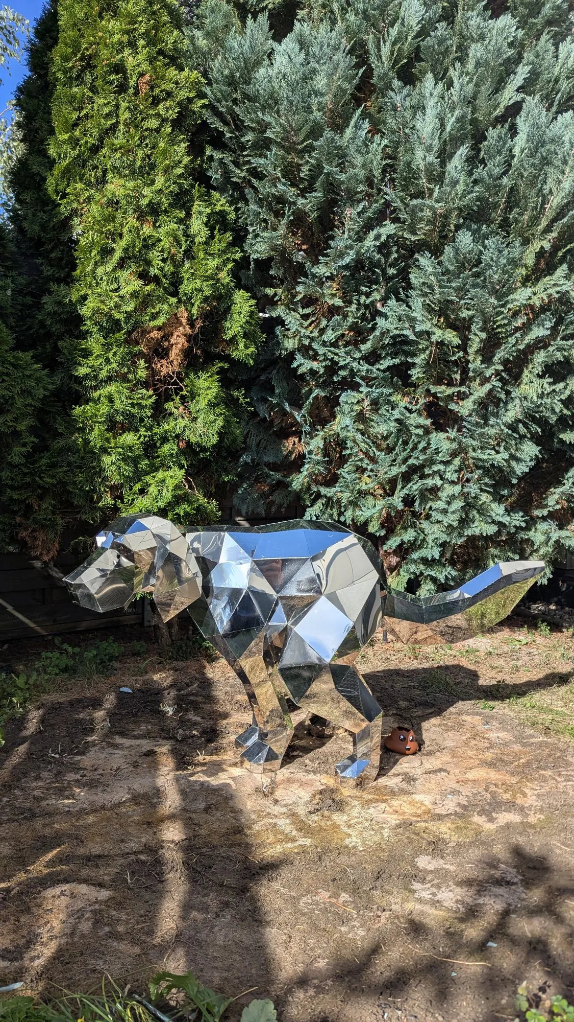 Dogs Not Allowed